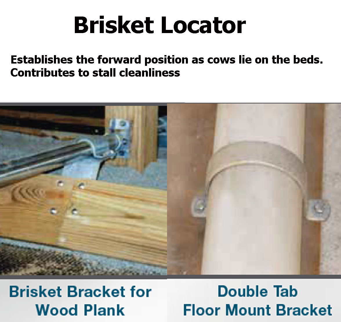 Stall Mounted Adjustable Brisket Locator